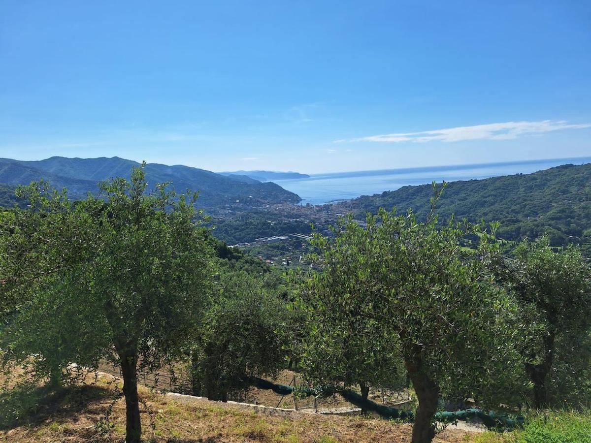 Cozy Pool-Side House With Sea View Villa Rapallo Bagian luar foto